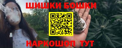 прущие грибы Можайск