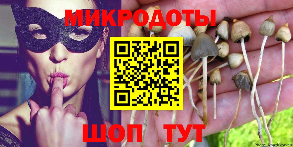 Псилоцибиновые грибы мицелий Хабаровск